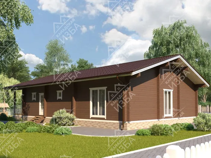  Тургенев проект