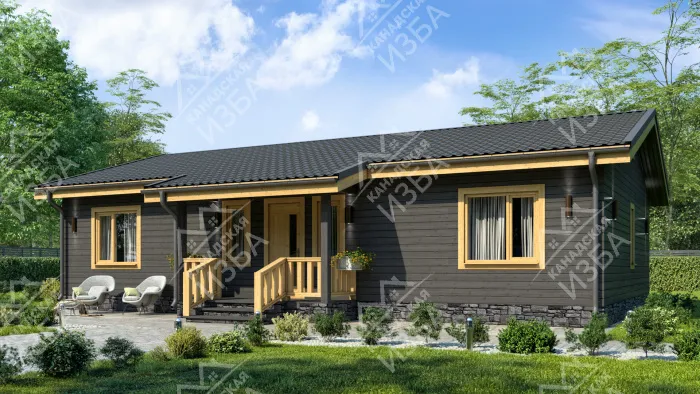  Пинто1 проект