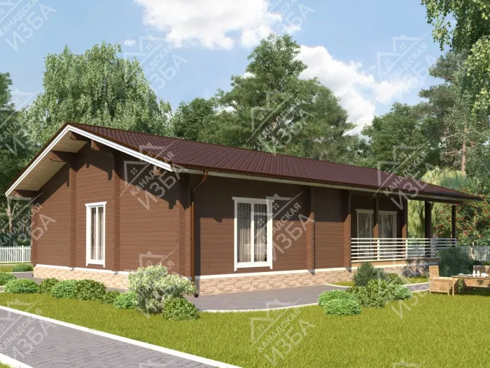  Тургенев проект