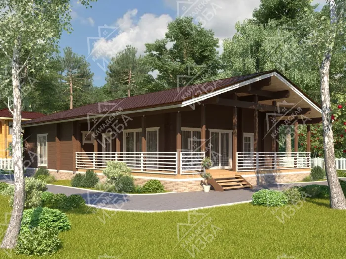  Тургенев1 проект