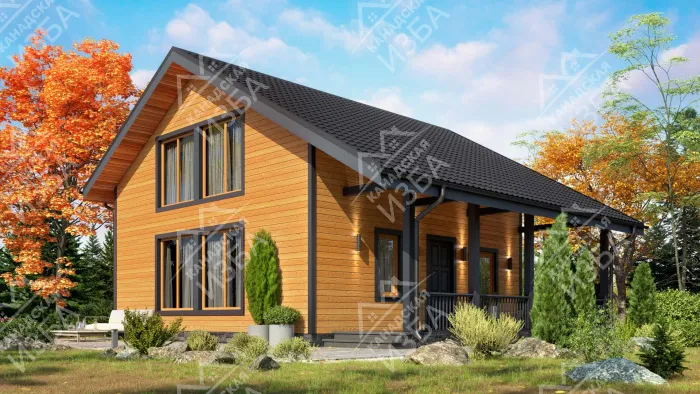 Торн1 проект