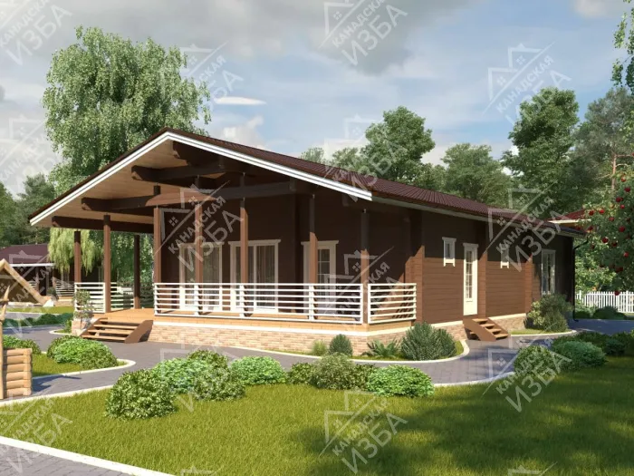  Тургенев проект